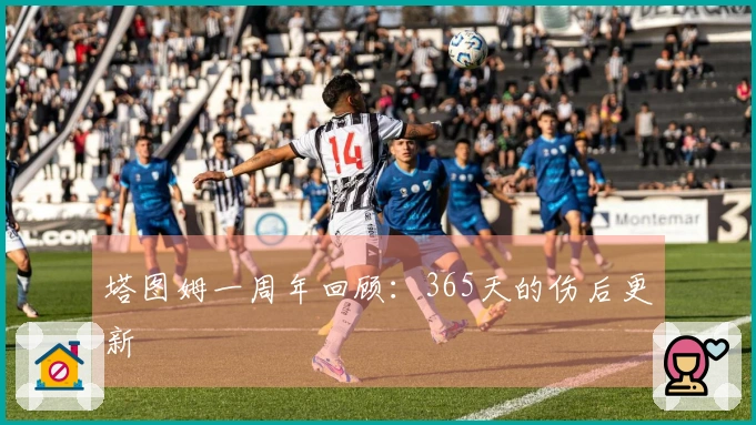 塔图姆一周年回顾：365天的伤后更新