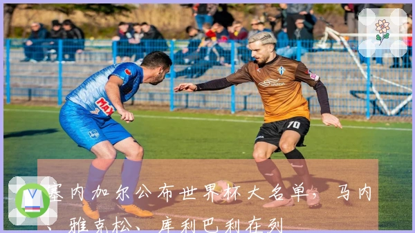 塞内加尔公布世界杯大名单，马内、雅克松、库利巴利在列